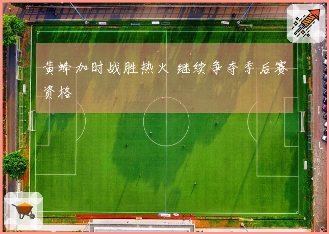 黄蜂加时战胜热火 继续争夺季后赛资格